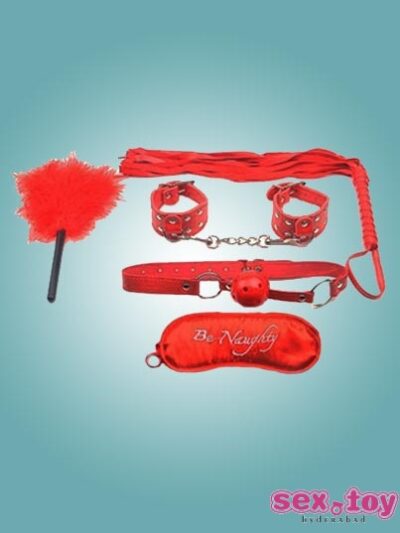 BDSM Sex Kit Bracelet+Whip+Goggles+Feather+Mouth Ball Gag- sextoyinhyderabad.com
